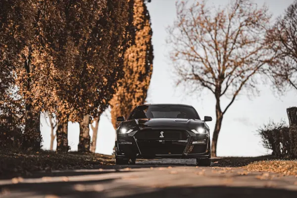 슈퍼노페아 카지노 안드로이드/iOS 앱